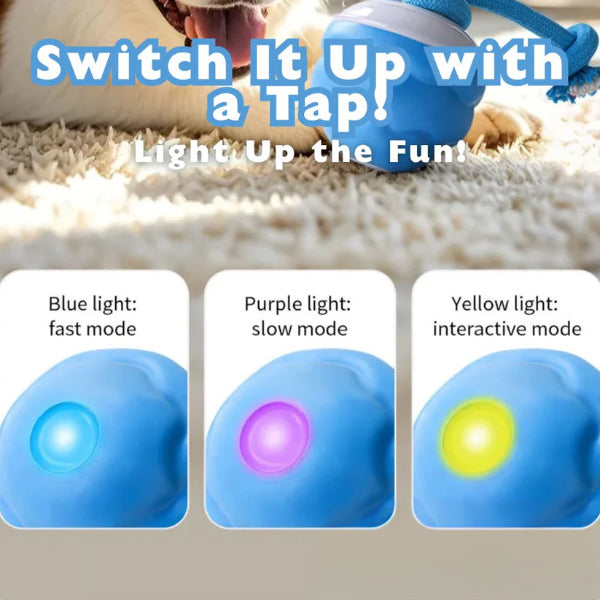 Zoomie Ball – The Ultimate Pet Chase Toy