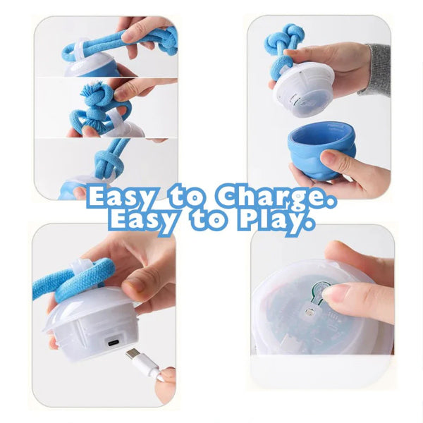 Zoomie Ball – The Ultimate Pet Chase Toy