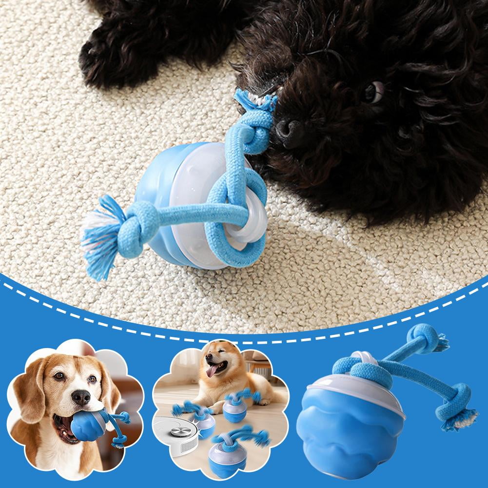 Zoomie Ball – The Ultimate Pet Chase Toy