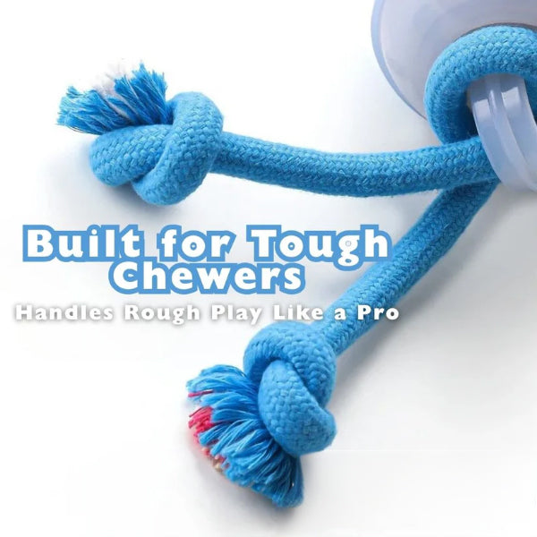 Zoomie Ball – The Ultimate Pet Chase Toy
