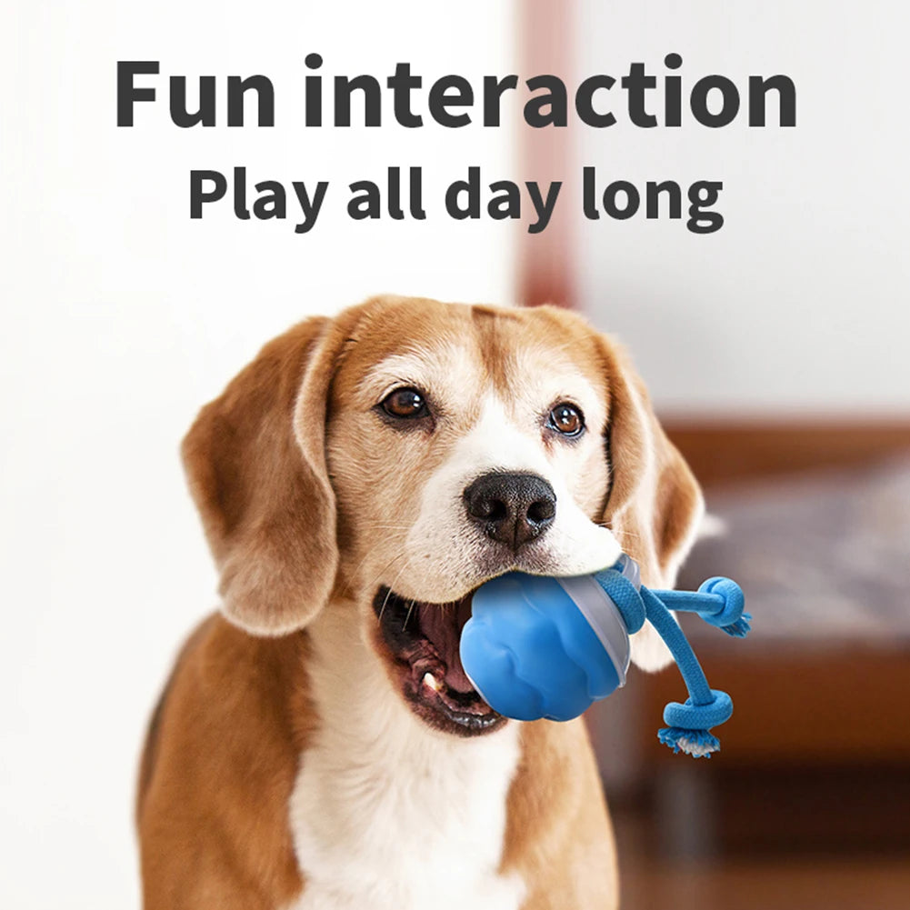 Zoomie Ball – The Ultimate Pet Chase Toy