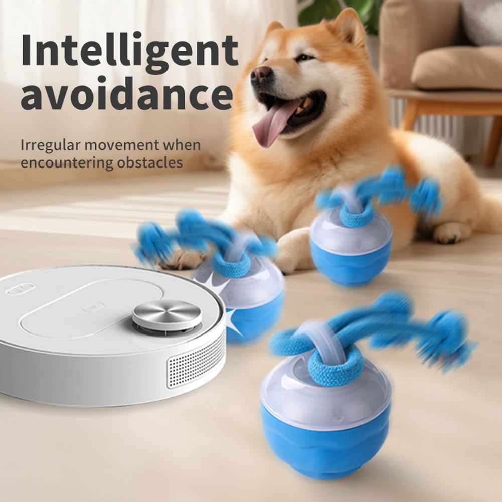 Zoomie Ball – The Ultimate Pet Chase Toy