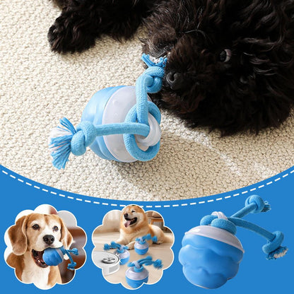 Zoomie Ball – The Ultimate Pet Chase Toy