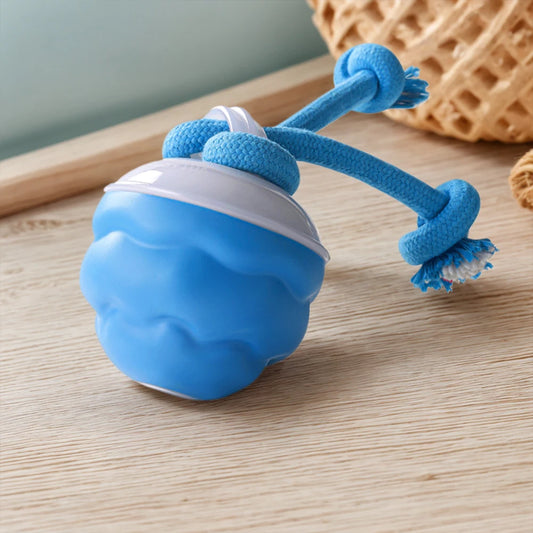 Zoomie Ball – The Ultimate Pet Chase Toy