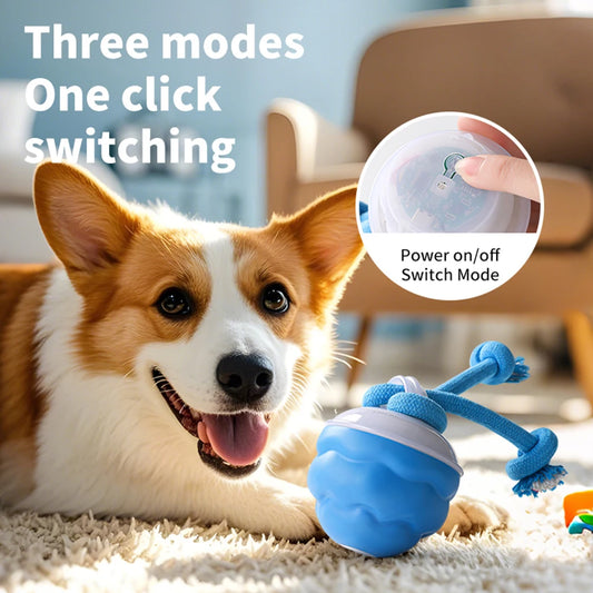 Zoomie Ball – The Ultimate Pet Chase Toy